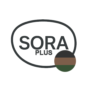 SORA-Plus-Tinted